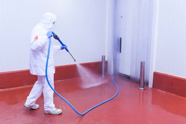 Best Warehouse Cleaning  in Weston, FL
