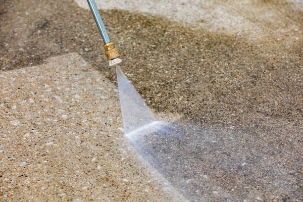 Best Driveway Pressure Washing  in Weston, FL