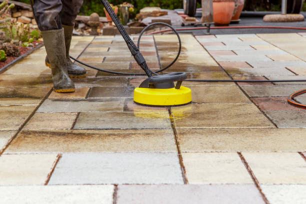 Best Animal Enclosure Cleaning  in Weston, FL