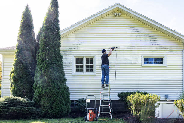 Best Gutter Cleaning  in Weston, FL